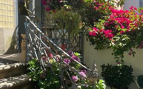 Vila Camelia