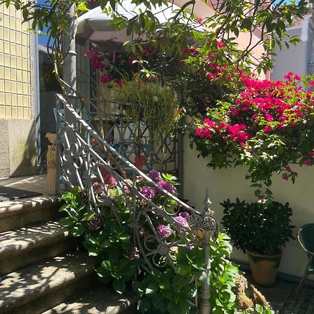 Vila Camelia OOporto Extérieur photo
