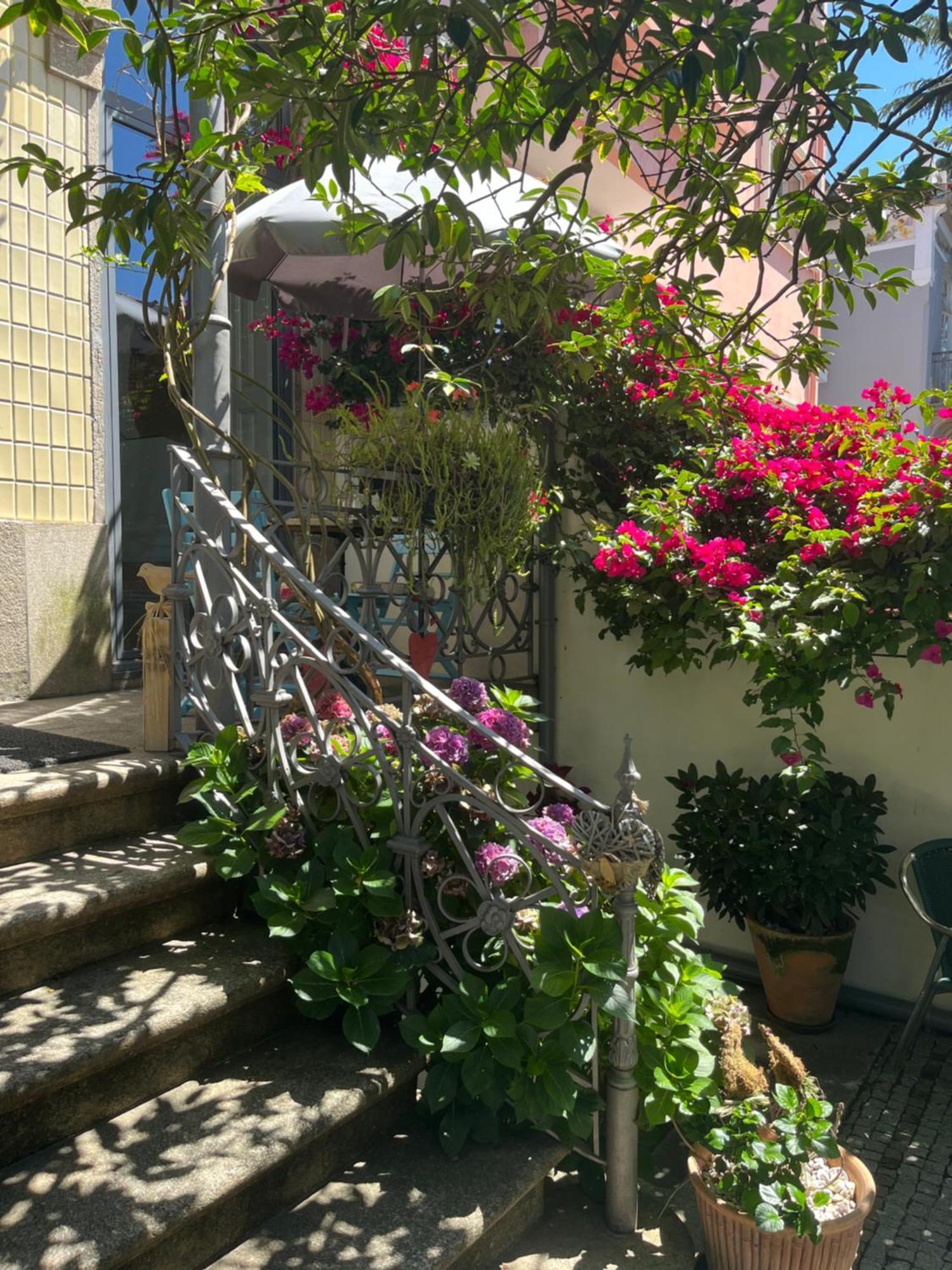 Vila Camelia OOporto Extérieur photo